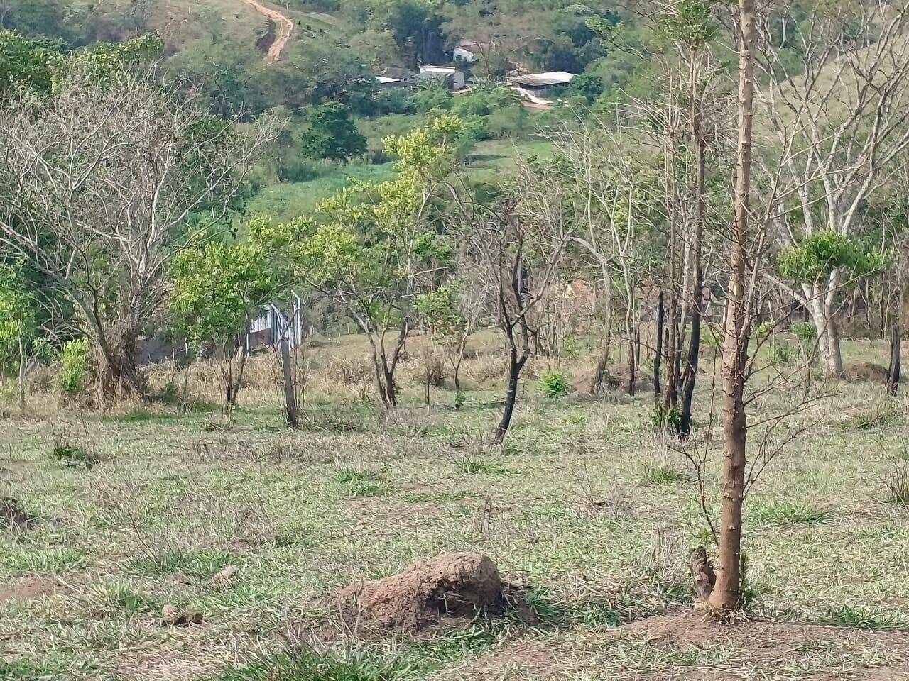 Terreno à venda, 25700 m² por R$ 830.000,00 - Jardim Maria Amélia - Jacareí/SP