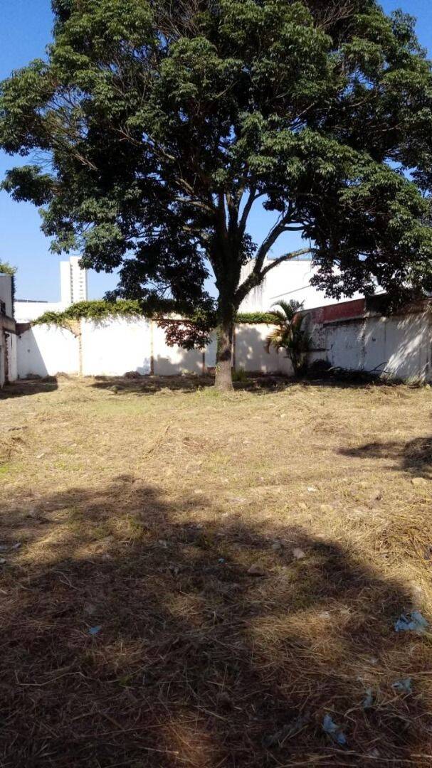 Terreno à venda, 560 m² - Centro - São José dos Campos/SP